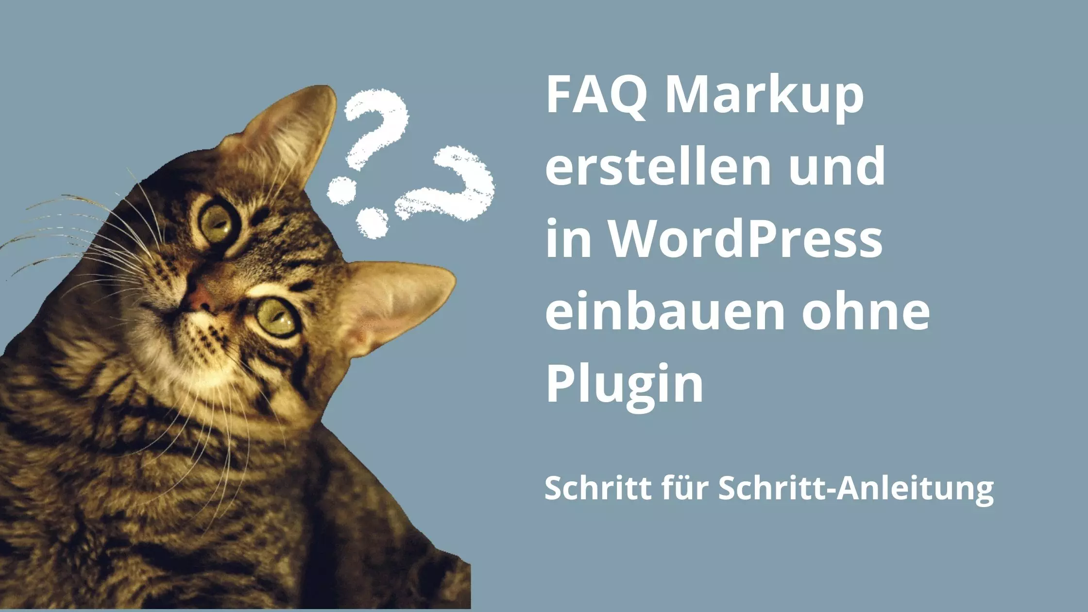 FAQ Markup erstellen WordPress ohne Plugin